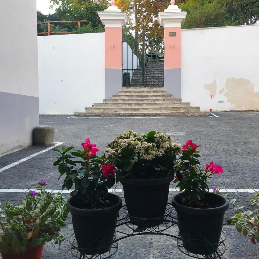 Palazzo D'Amaro Historical Residence Boscotrecase Exterior photo